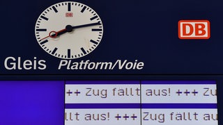 "Zug fällt aus" heißt es auf einer Anzeigetafel an einem Bahnhof: Ein defektes Stellwerk in Neustadt an der Weinstraße sorgt für Zugausfälle.