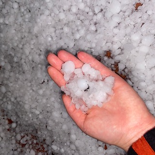 Jemand hält große Hagelkörner in der Hand. Ein Sturm hat erheblichem Schaden beim Weingut Bernhart in Schweigen-Rechtenbach angerichtet.