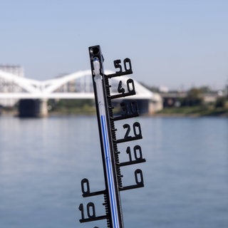 Thermometer vor der Konrad Adenauer Brücke 