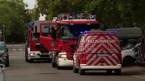karolina-burger-realschule-plus-in-ludwigshafen-thema-im-bildungsausschuss-im-landtag-was-erwarten-schueler-eltern-lehrer