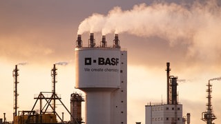 Symbolbild: Die BASF will mehr als die Hälfter aller Jobs ihrer IT-Tochter in Ludwigshafen streichen.