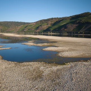 Das Bild zeigt riesige Sandbänke im Rhein. Der Pegel im Rhein ist dieses Jahr so niedrig wie noch nie. 