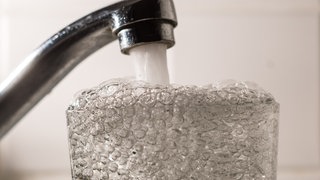 Damit weiterhin genug Trinkwasser aus der Leitung sprudelt, soll das Wasswerk Eich mehr Wasser für Mainz fördern