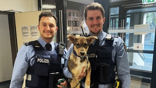 Der Hundewelpe mit seinen uniformierten Rettern.
