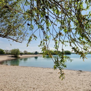 Der 19-Jährige ist im Gimbsheimer Pfarrwiesensee ertrunken. Das hat jetzt auch die Obduktion ergeben. 