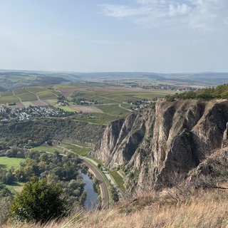 Die Ursache für den tödlichen Absturz eines Kletterers am Rotenfels in Bad Kreuznach ist unklar.