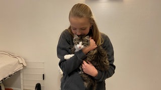 Eine Gruppe von Jugendlichen übernimmt im Tierheim Grolsheim immer freitagabends den Tierheimbetrieb.