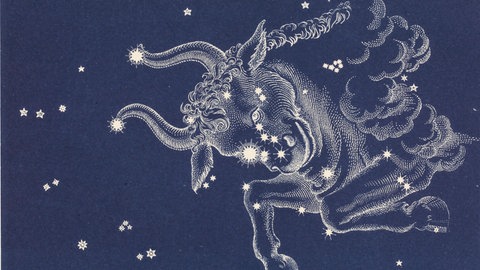 Das Sternbild Stier 