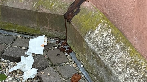 Im Garteb der  Kirche hat jemand sein Geschäft verrichtet. 