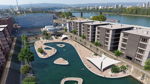 Eine Grafik des möglichen Hafenschwimmbads "Heilige Makrele" - eine Idee von Mainzer Ingenieur Alexander Kiefer.