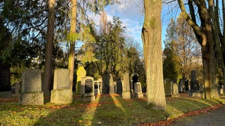 Der jüdische Friedhof in Mainz