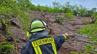 Ein Feuerwehrmann steht an einem kahlgefressenen Hang bei Meckenbach.