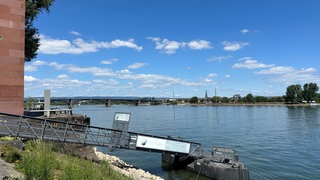 Der Rhein bei Mainz führt derzeit deutlich weniger Wasser als gewöhnlich.