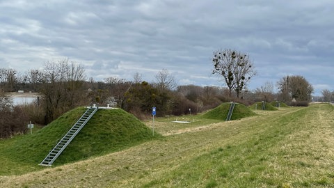 Am Rheinufer bei Guntersblum stehen zehn Brunnen in einer Reihe, die das Uferfiltrat fördern. 