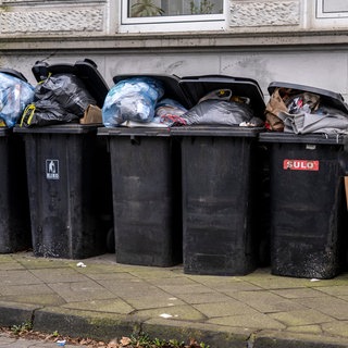Mehrer überfüllte Restmülltonnen stehen an einer Hauswand: Der Kreis Alzey-Worms hat seine neuen Müllgebühren vorgestellt. 