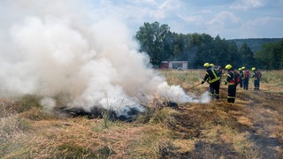 Feuerwehrleute löschen ein Feuer auf einer Wiese. Die Mainzer Feuerwehr trainiert jetzt jeden Mitwoch den Ernstfall mit echten Bränden