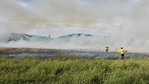 Die Einsatzkräfte waren zwei Stunden mit den Löscharbeiten beschäftigt. Nach eigenen Angaben verhinderten sie in letzter Minute, dass das Feuer auf ein Wohnegbiet übergriff.