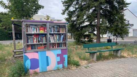 Der Bücherschrank im Mainzer Stadtteil Hartenberg-Münchfeld. Von allen Bücherschränken in der Stadt ist er der beliebteste. Das ist das Ergebnis eines Forschungsprojekts an der Uni Mainz