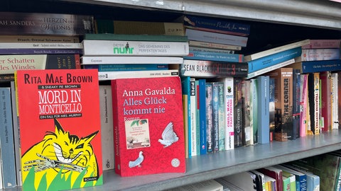 Bücher in einem Bücherschrank im Mainzer Stadtteil Hartenberg-Münchfeld. Er ist laut einer Untersuchung der Uni Mainz der beliebteste Bücherschrank in der Stadt