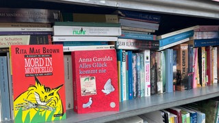 Bücher in einem Bücherschrank im Mainzer Stadtteil Hartenberg-Münchfeld. Er ist laut einer Untersuchung der Uni Mainz der beliebteste Bücherschrank in der Stadt