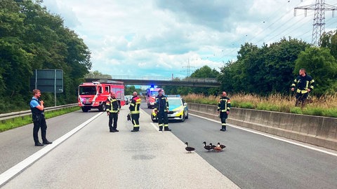 Feuerwehr und Polizei helfen einer Entenfamilie dabie, die A671 zu überqueren. Die Autobahn war zu dem Zeitpunkt gesperrt.
