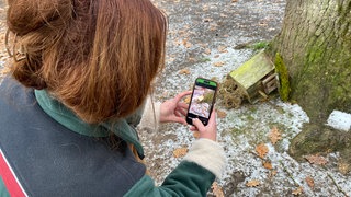 Eine Frau fotografiert im Ober-Olmer Wald mit ihrem Smartphone einen abgestürzten Nistkasten. Mit der neuen App Waldecho können Probleme im Wald gemeldet werden
