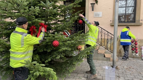 Gimbsheimer schmücken den neuen Weihnachtsbaum.