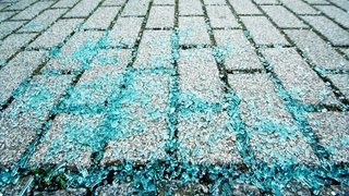 Zersplittertes Glas am Boden: In Alzey sind Einbrecher mit einem Auto in das Schaufenster eines Fahrradgeschäfts gerast und haben Fahrräder gestohlen. (Symbolbild)