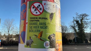 Mit diesen Bannern macht das Mainzer Tierheim auf die Kampagne aufmerksam.