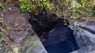 Verschmutzter Bach bei Gau-Weinheim: Öl-artige Flüssigkeit und Autoreifen