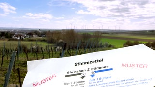 Ein Stimmzettel zur Landtagswahl RLP 2026 vor einer Landschaft in Rheinhessen.