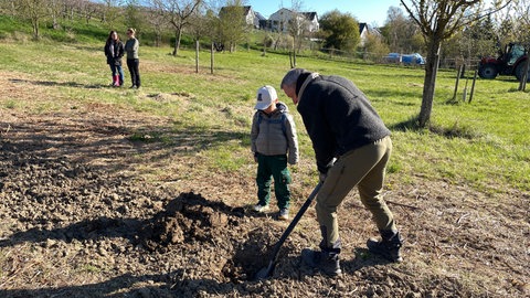 Die Kinder können sich aussuchen, ob sie einen Apfel- oder einen Birnenbaum pflanzen wollen.