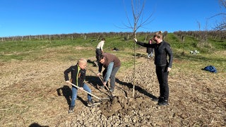 Mit Spaten und Schaufeln graben die Kinder und ihre Helfer tiefe Löcher in den Boden.