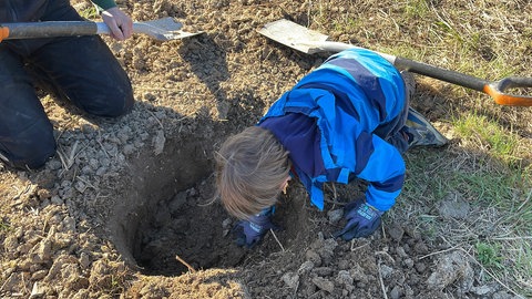 Julian entdeckt beim Ausbuddeln des Lochs sogar einige Regenwürmer und einen Käfer.