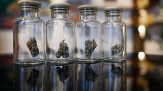 In durchsichtigen Gläsern befinden sich Marihuana Blüten