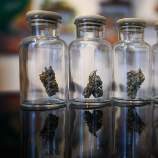 In durchsichtigen Gläsern befinden sich Marihuana Blüten