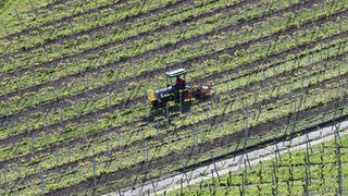 In Saulheim ist ein Landwirt tödlich verunglückt. Er wurde bei einem Unfall im Weinberg unter seinem Traktor begraben. (Symbolbild)