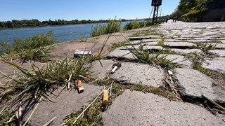 Zigarettenkippen auf einem Weg am Mainzer Rheinufer. Freiwillige beteiligen sich im Mai an einer Müll-Sammel-Aktion. 