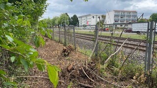Gerodete Büsche neben einer Bahnstrecke bei Worms.