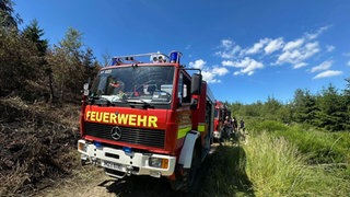 Ein Feuerwehrmann löscht einen Waldbrand.