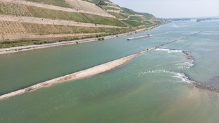 Der Rhein bei Bingen: Hier ist der 20-jährige Schwimmer von der Strömung mitgerissen worden. 