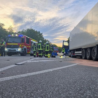 Viele Feuerwehrfahrzeuge und ein Lkw an der Unfallstelle: Bei einem Unfall 