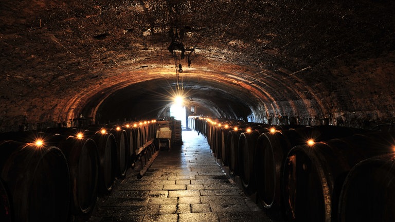 Abkühlung an heißen Sommertagen in RLP: Traben-Trabach an der Mosel ist großflächig unterkellert und dort bleibt es 12 Grad kühl, auch im Sommer