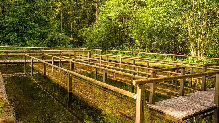 Wassertreten verschafft an heißen Sommertagen kühle Füße. In Rheinland-Pfalz gibt es viele Kneippanlagen, zum Beispiel in Beuren, Kesten, Ramstein-Miesenbach oder Malberg.