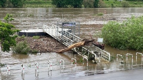 Ein Schiffsanleger an der Mosel in Tier ist nach dem Hochwasser voller Treibgut. 