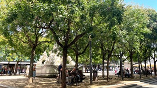 Menschen sitzen auf Bänken im Schatten unter den Bäumen am Trierer Kornmarkt.