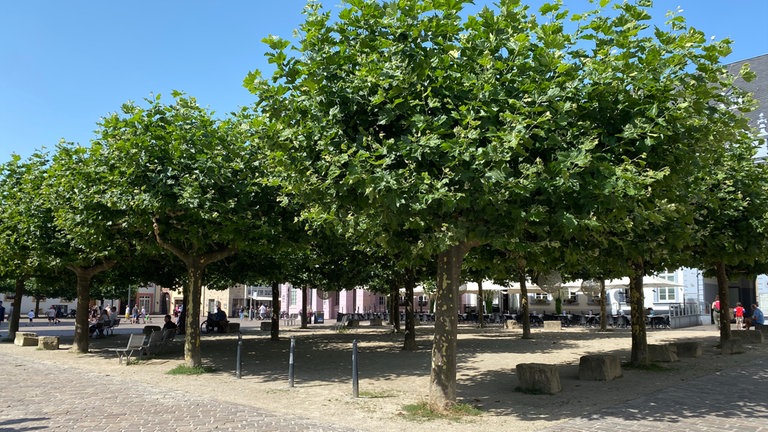 Unter den Platanen auf dem Domfreihof weht eine frische Brise: Das sorgt für angenehme 26 Grad.