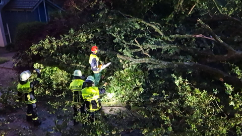 Bei Trier stürzte ein Baum auf eine Garage. Dabei wurde niemand verletzt.