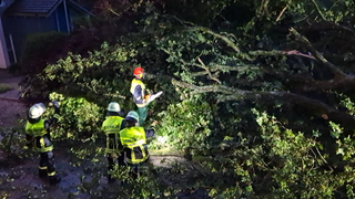 Bei Trier stürzte ein Baum auf eine Garage. Dabei wurde niemand verletzt.