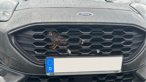 Tierische Rettungsaktion: Die Polizei in Wittlich hat einen Turmfalken aus einem Auto gerettet. Er steckte im Kühlergrill.